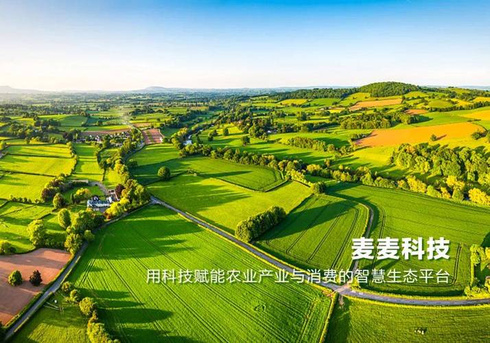 强强联合打造智慧农业新高地,武汉林业与麦麦科技签署战略合作协议